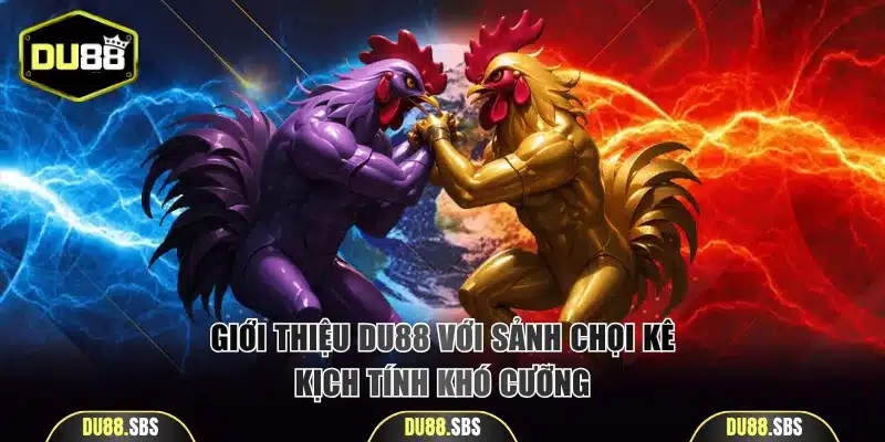 Giới thiệu DU88 với sảnh chọi kê kịch tính khó cưỡng