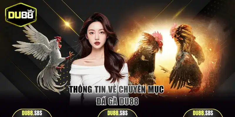 Thông tin về chuyên mục đá gà DU88